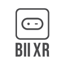 Logo BII XR gris